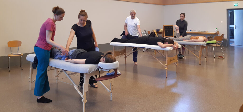 Stage de massage Tuina organisé par Sophie Bouvier - 0683330256
