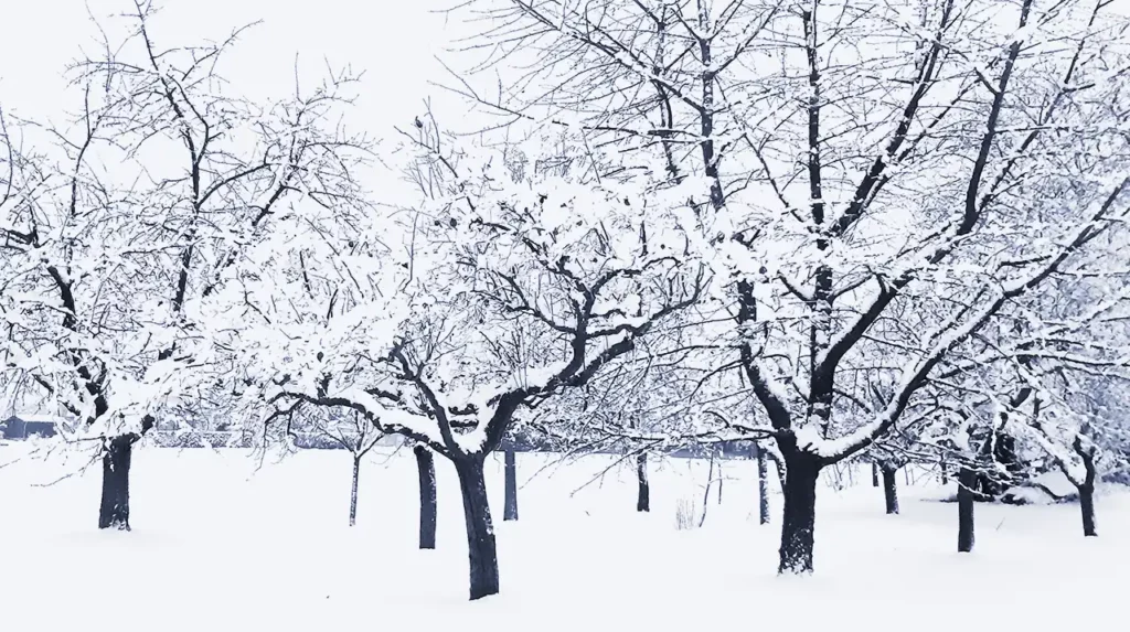 Comment entretenir une bonne santé en hiver - Sophie Bouvier Tuina