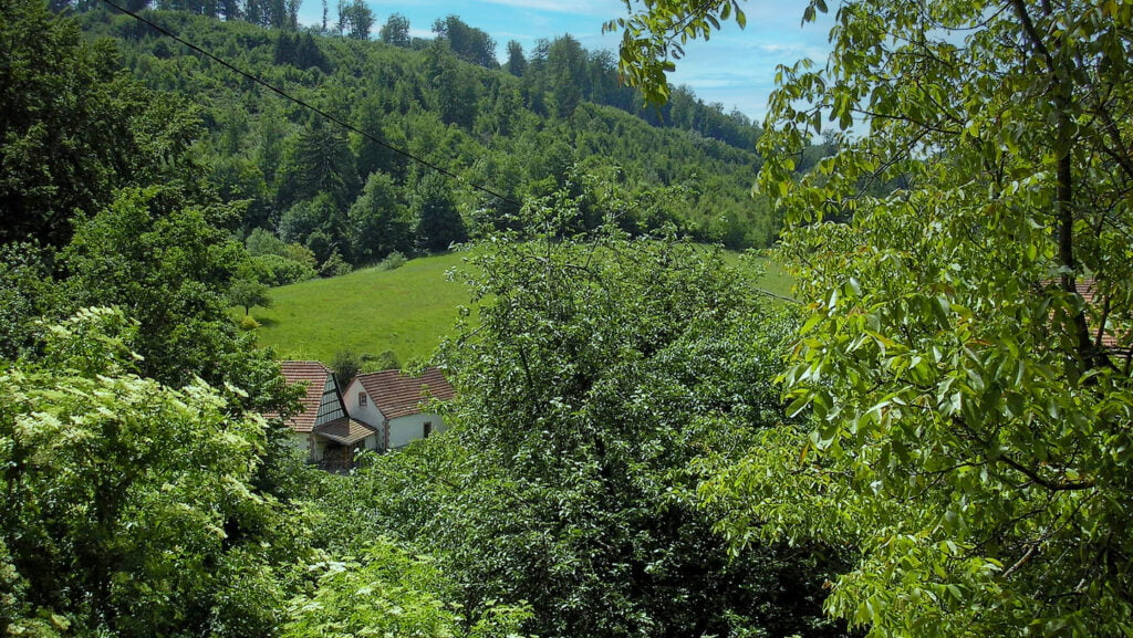 Formation au massage tuina Baojian en résidentiel - 25 au 28 Juillet 2023 - Domaine forestier