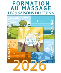 Stage de massage tuina - Les 5 saisons du Tuina par Sophie Bouvier Strasbourg