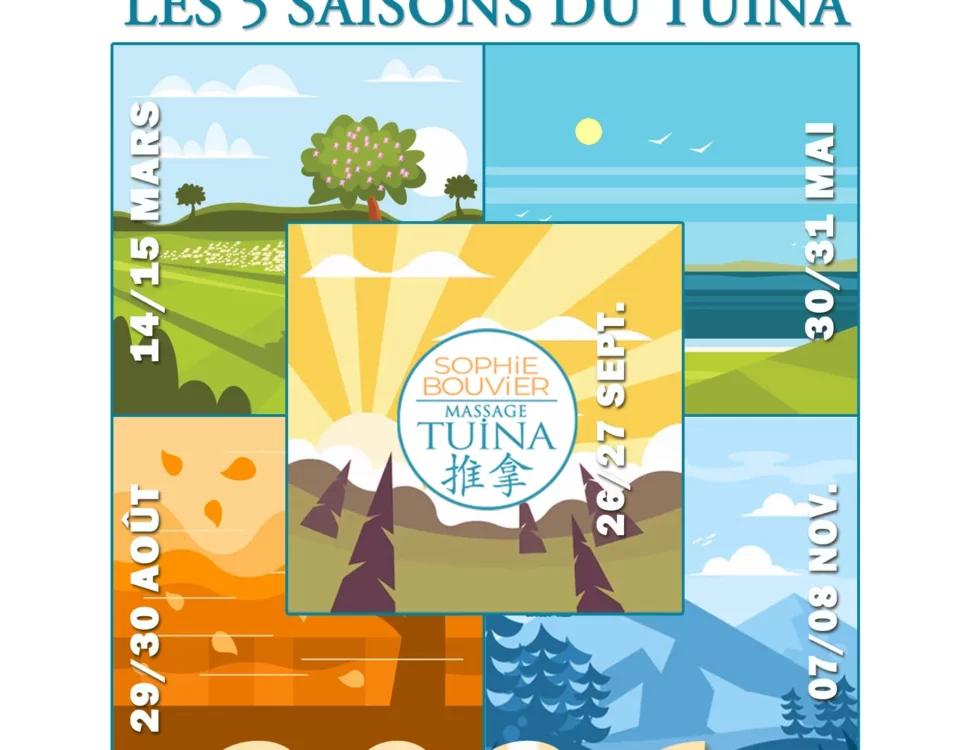 Stage de massage tuina - Les 5 saisons du Tuina par Sophie Bouvier Strasbourg
