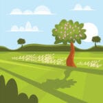 Stage Tuina Printemps